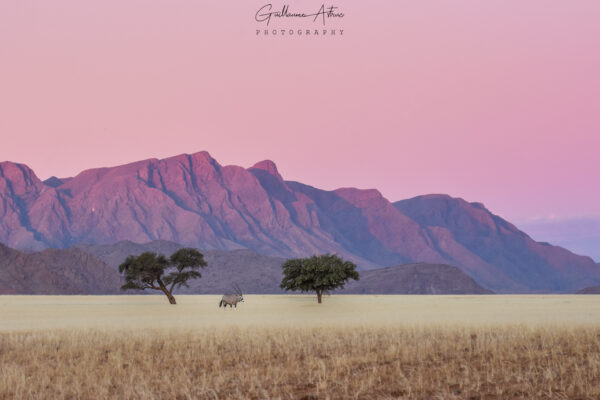 Coucher de soleil dans le désert du Namib