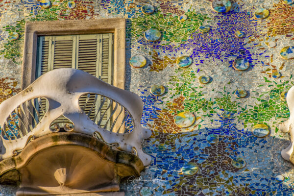 Les détails de la Casa Batllo