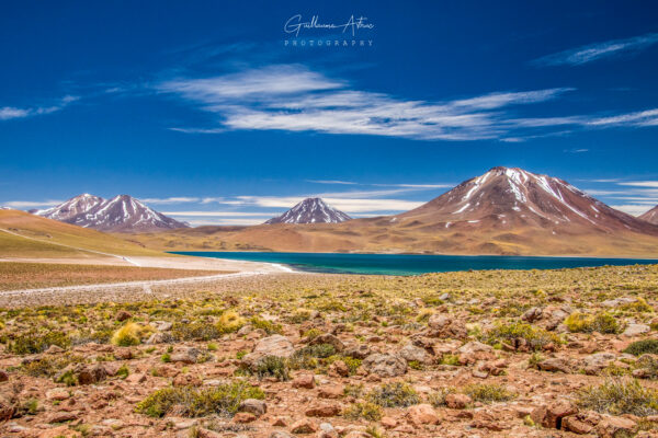 La Laguna Miscanti près de San Pedro de Atacama