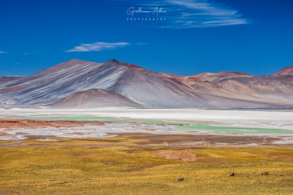 Région de l’Atacama au Chili