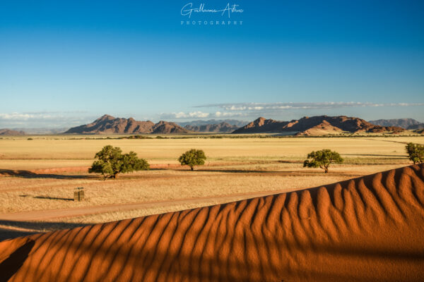 Désert du Namib depuis Elim Dune