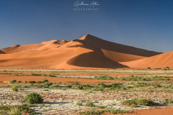 Photo d'une dune