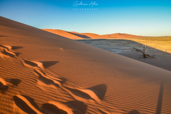 Photo d'une dune
