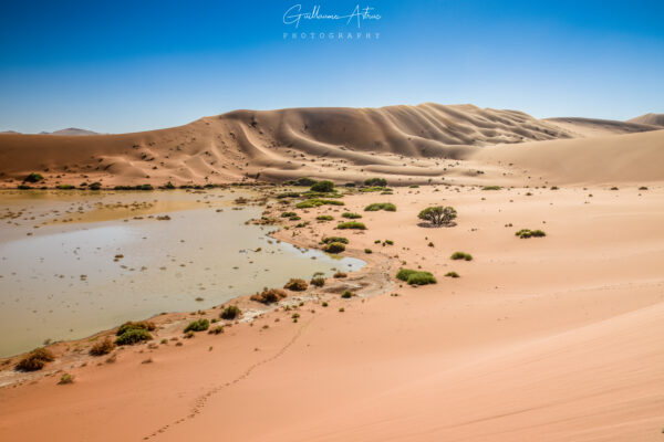 Les dunes de Sossusvlei dans le désert du Namib