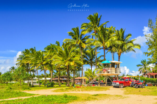 Ambiance tropicale sur une plage de Kauai