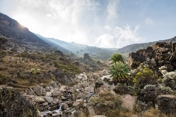 Barranco Valley, sur le chemin du Kilimandjaro