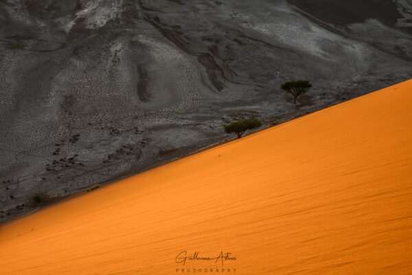 Couleurs du désert du Namib