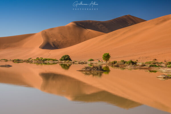 Reflets du désert Namibien