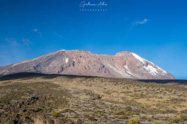 Vue sur le mont Kilimandjaro depuis Shira Camp