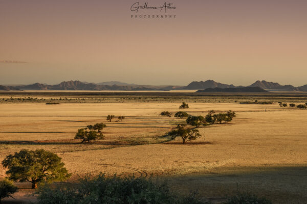 Couleurs Africaines dans le désert du Namib