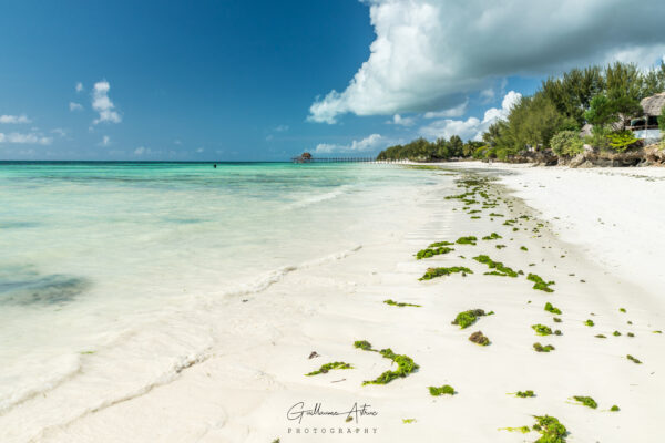 Plage de Jambiani à Zanzibar