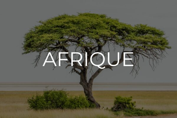 Afrique