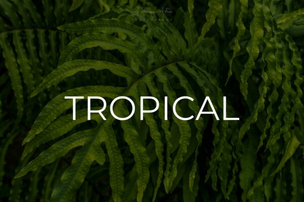 Tropical