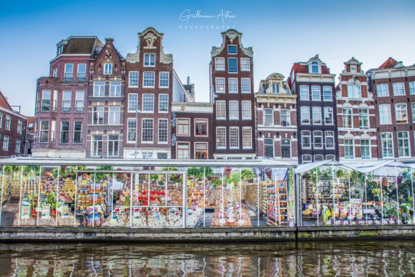 Marché aux fleurs d’Amsterdam