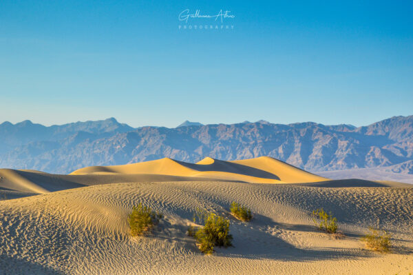 Les dunes de Death Valley en Californie