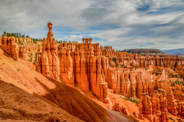 Les Hoodoos de Bryce Canyon dans l’Utah