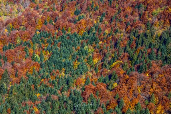 Couleurs d’automne dans les Bauges