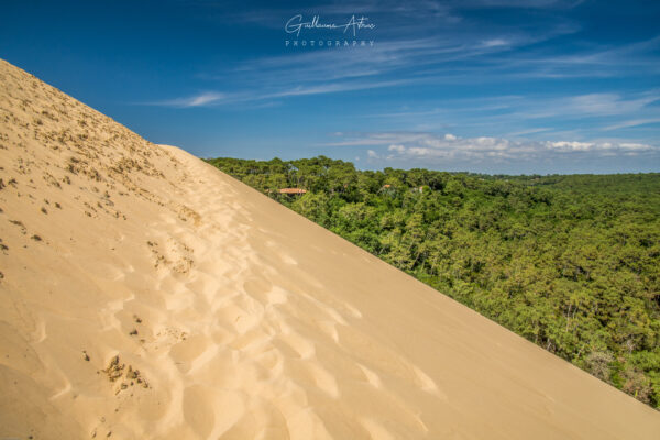 Les pentes de la Dune du Pilat