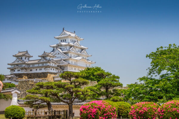 Le château d’Himeji au Japon