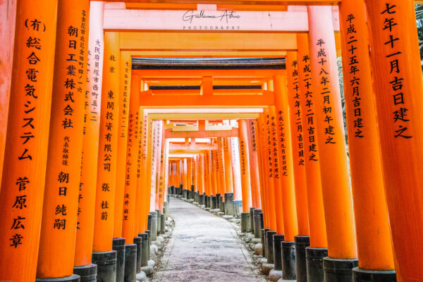 Le sanctuaire de Fushimi Inari à Kyoto, Japon