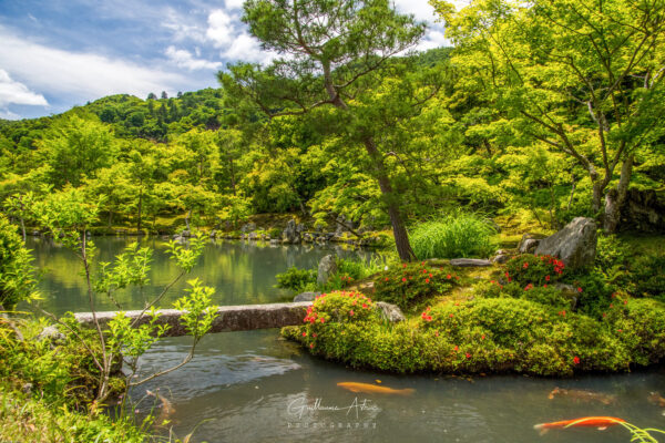 Les jardins du temple de Tenryu-Ji à Kyoto, Japon