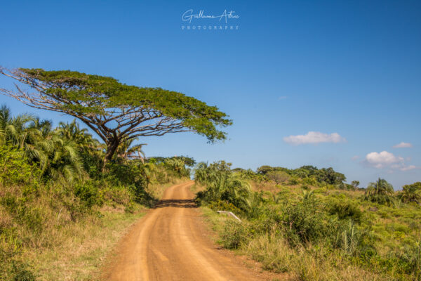 Sur les routes d’Afrique du Sud