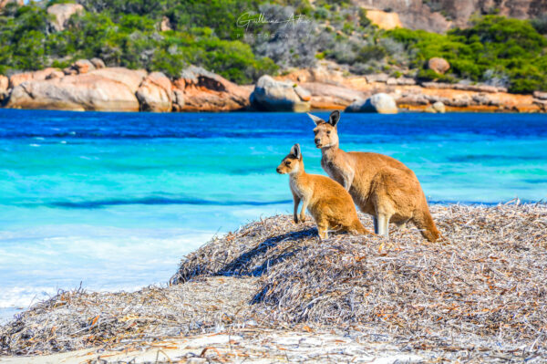 Rencontre avec des locaux à Esperance