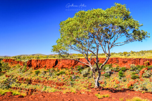 Les couleurs du Parc de Karijini en Australie Occidentale