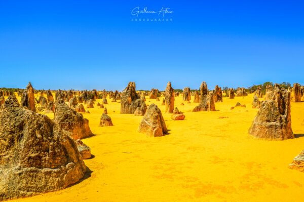 Le désert des Pinnacles en Western Australia