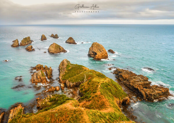 Nugget Point à l’extrême sud de la Nouvelle-Zélande