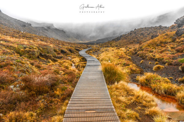 Sur les chemins du Tongariro en Nouvelle-Zélande