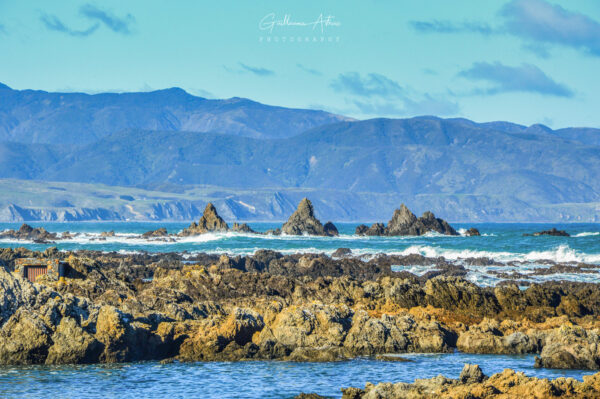 La côte de Taputeranga à Wellington