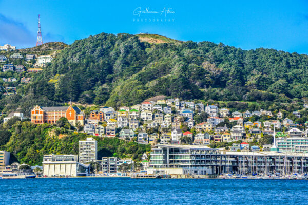 Les toitures colorées du Mont Victoria à Wellington