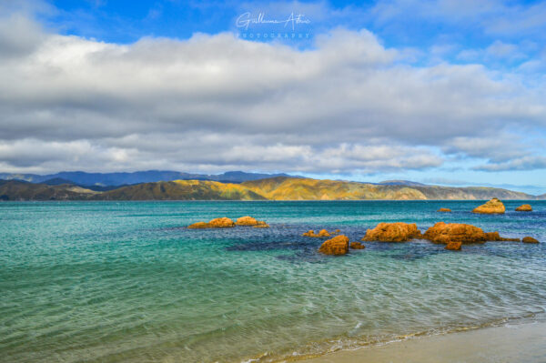 Scorching Bay à Wellington