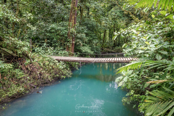 Le bleu intense du Rio Celeste dans le parc de Tenorio