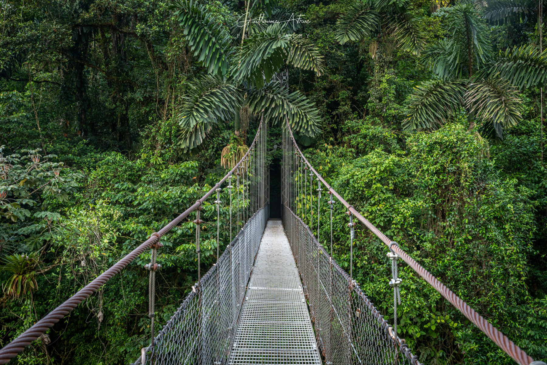 Pont suspendu