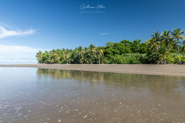 La pureté du parc national Marino Ballena