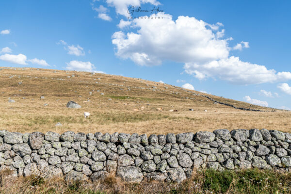 Muraille en pierre d’Aubrac