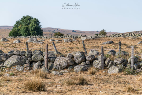 Entre nature et main de l’homme