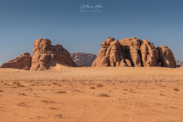 Merveille orangée du Wadi Rum