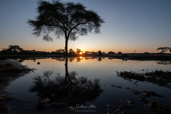 Reflets Africains