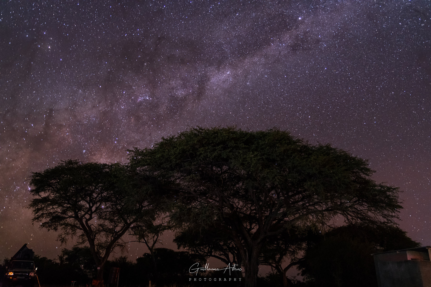 Un acacia sous un ciel étoilé