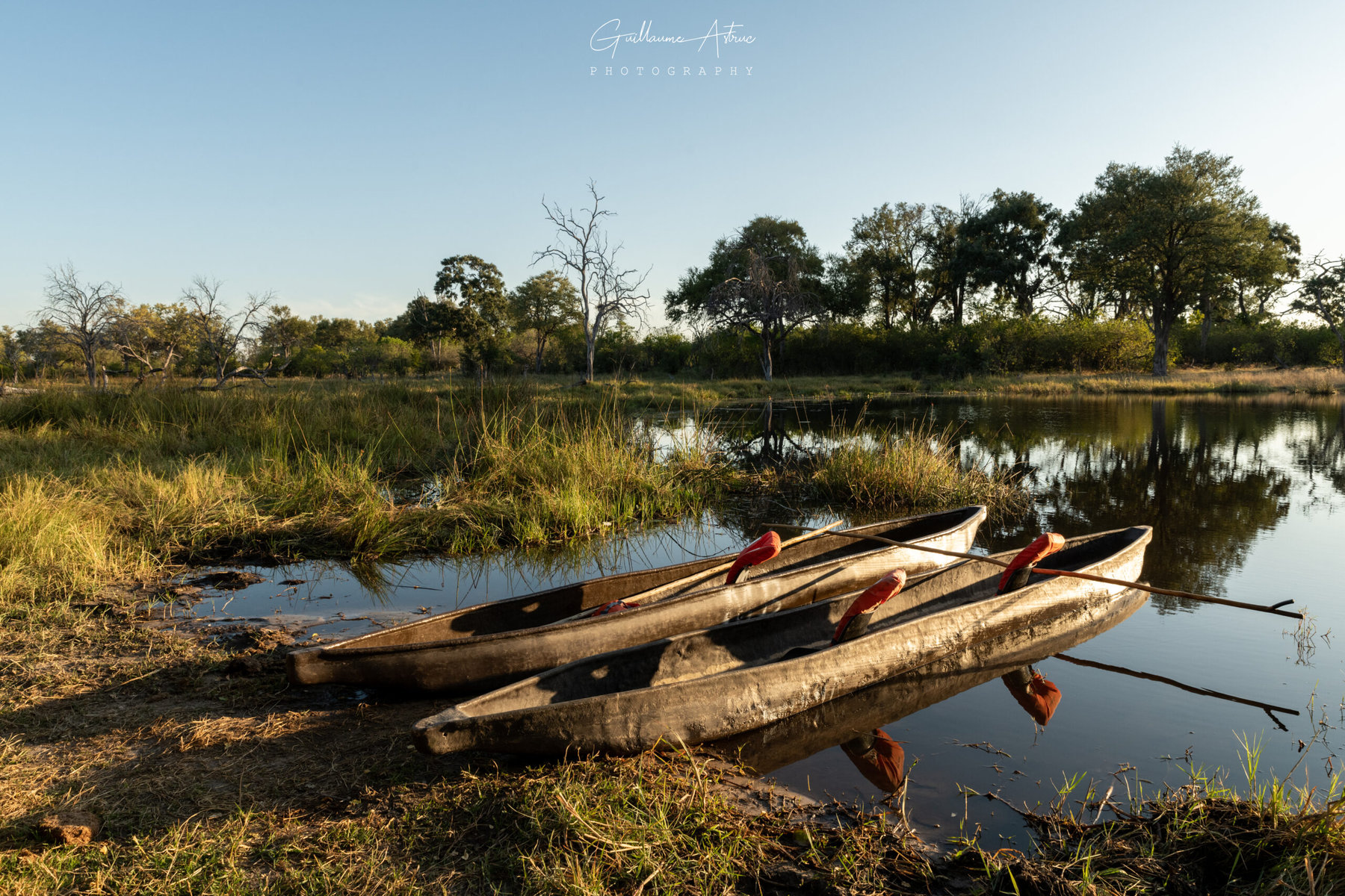 Le Mokoro : pirogue traditionnelle de l’Okavango