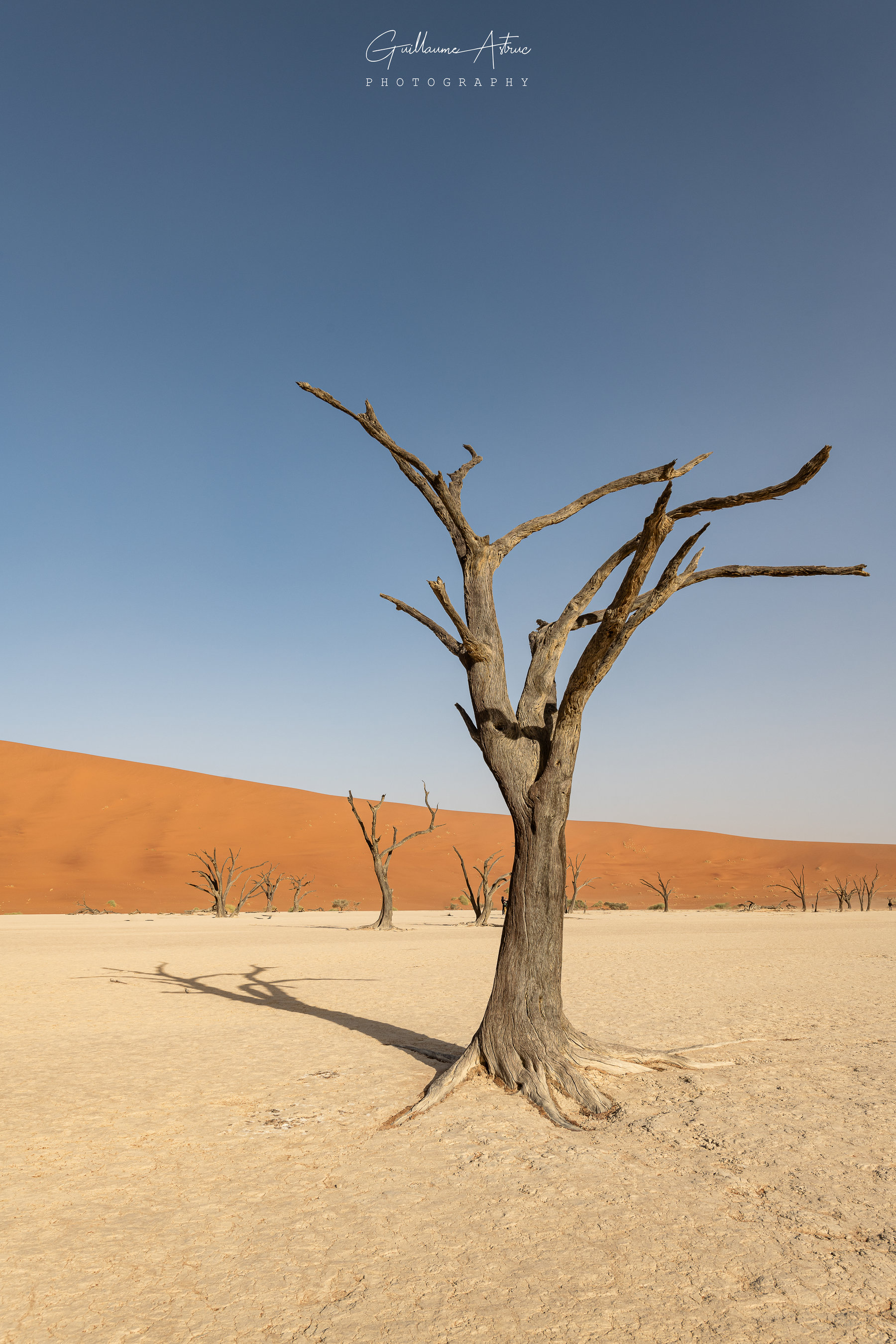 Les formes originales de Deadvlei