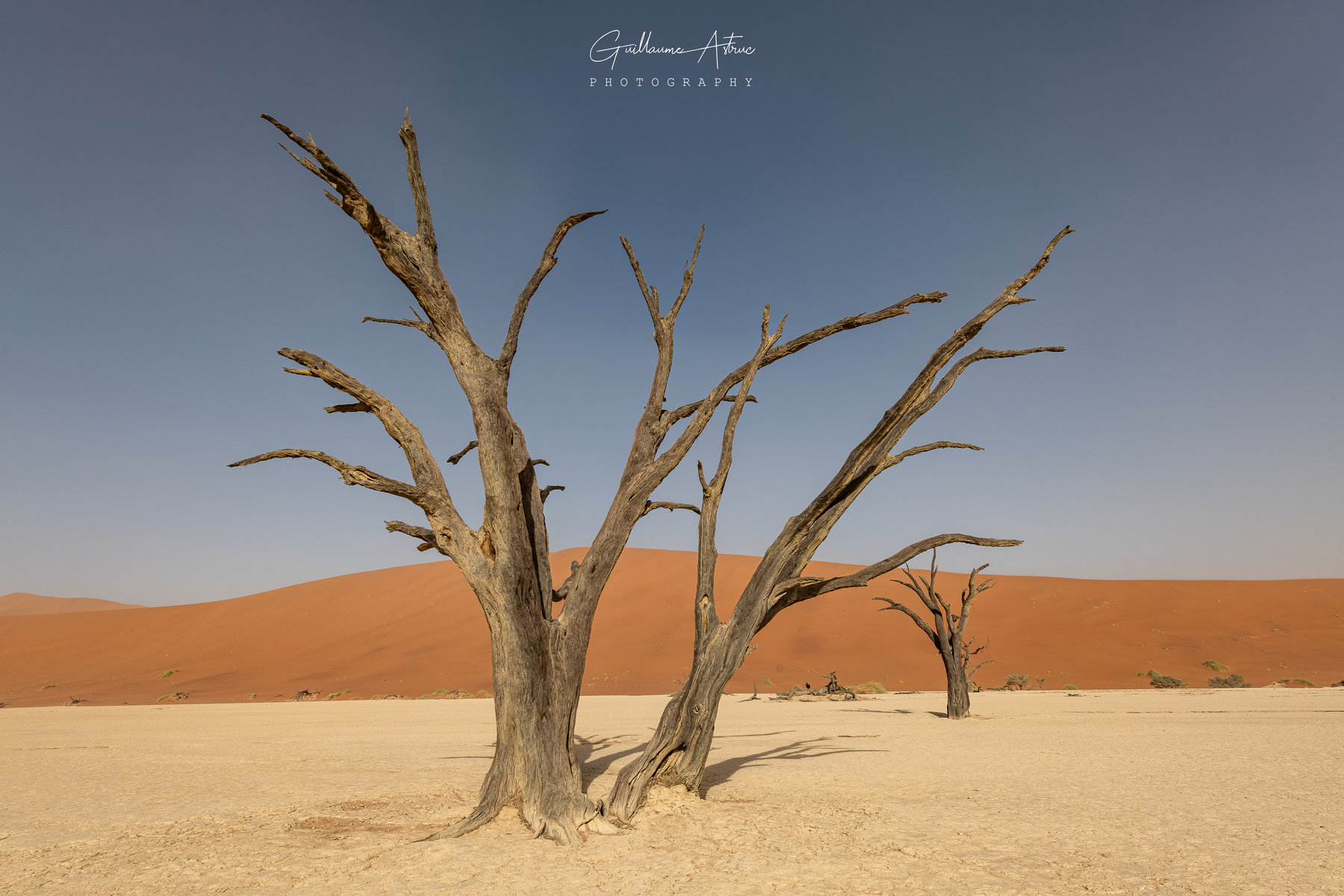 deadvlei-desert-namibie-afrique
