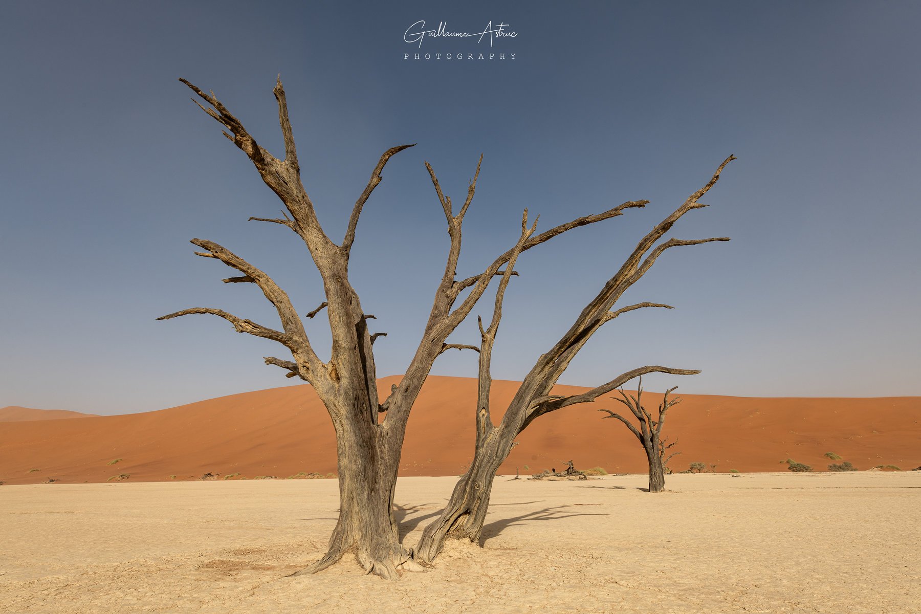 Deadvlei, joyaux de Namibie