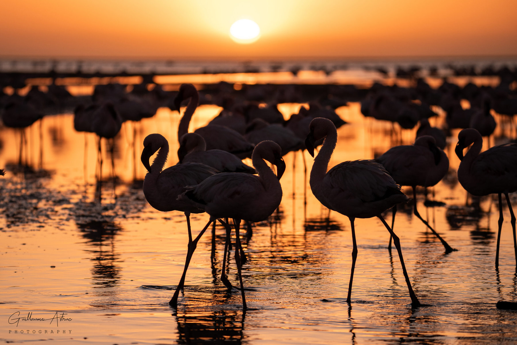 Coucher de soleil à Walvis Bay