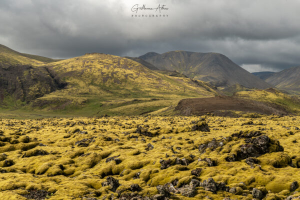 Paysage volcanique d’Islande