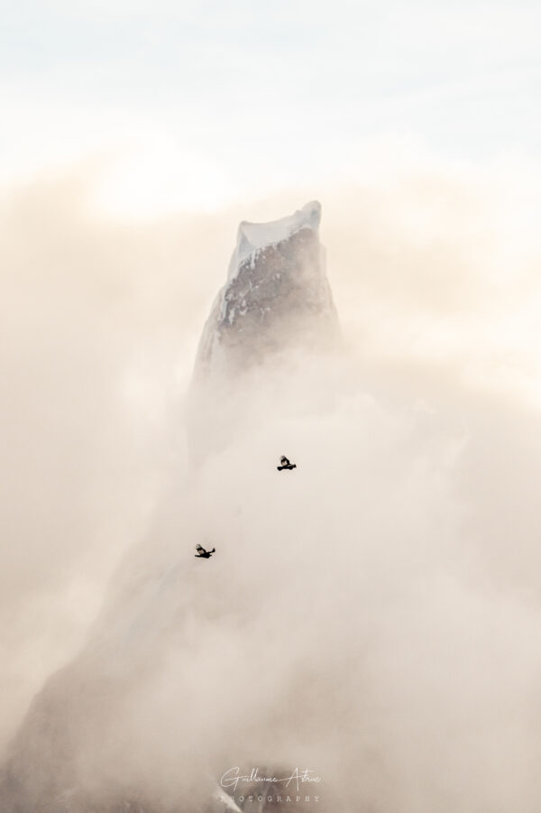 L’envol des condors devant le Cerro Torre