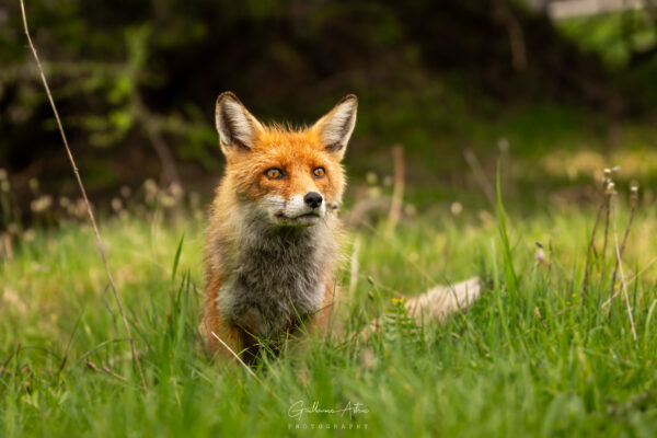 Rencontre inattendue